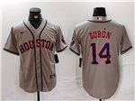 Houston Astros #14 Mauricio Dubón Gray Limited Jersey