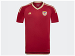 Venezuela 2024 Home Red Soccer Team Jersey 